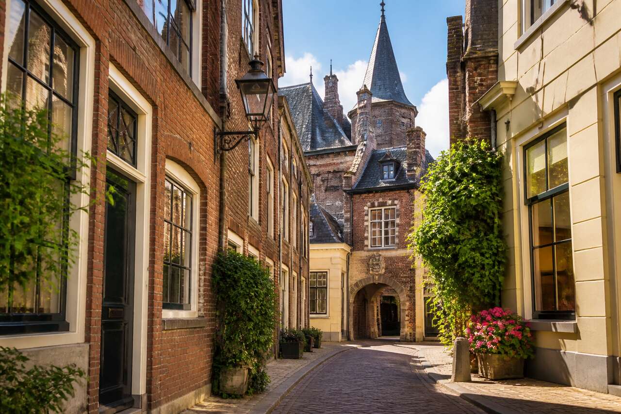 La Haye : secrets cachés des ruelles historiques