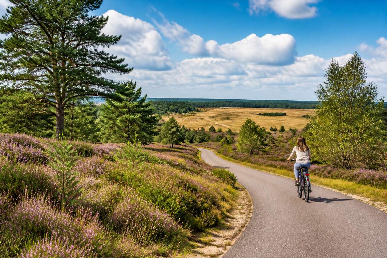 À vélo à travers les paysages enchanteurs du parc national De Hoge Veluwe