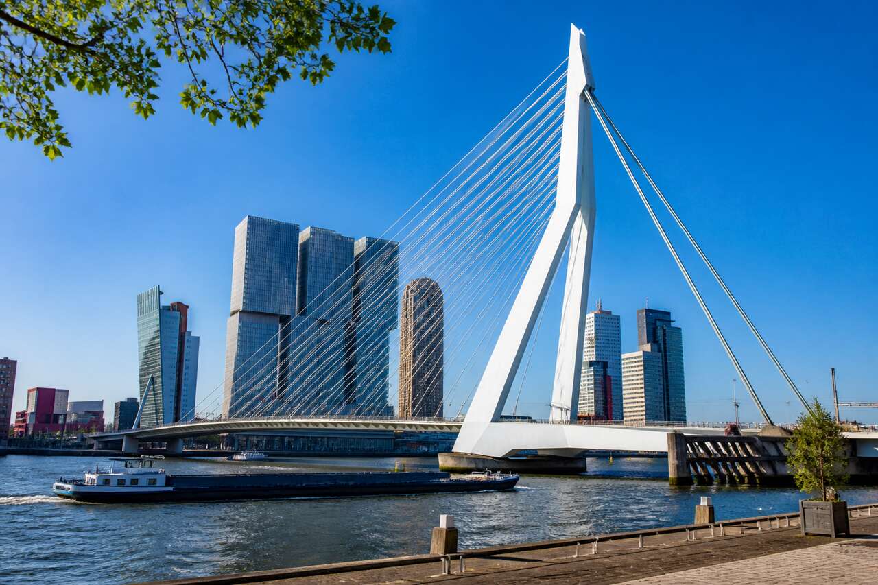 Le pont Erasmusbrug : architecture et modernité au cœur de Rotterdam