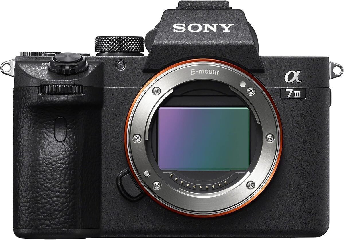 Test : sony Alpha 7 III, l'hybride plein format performant
